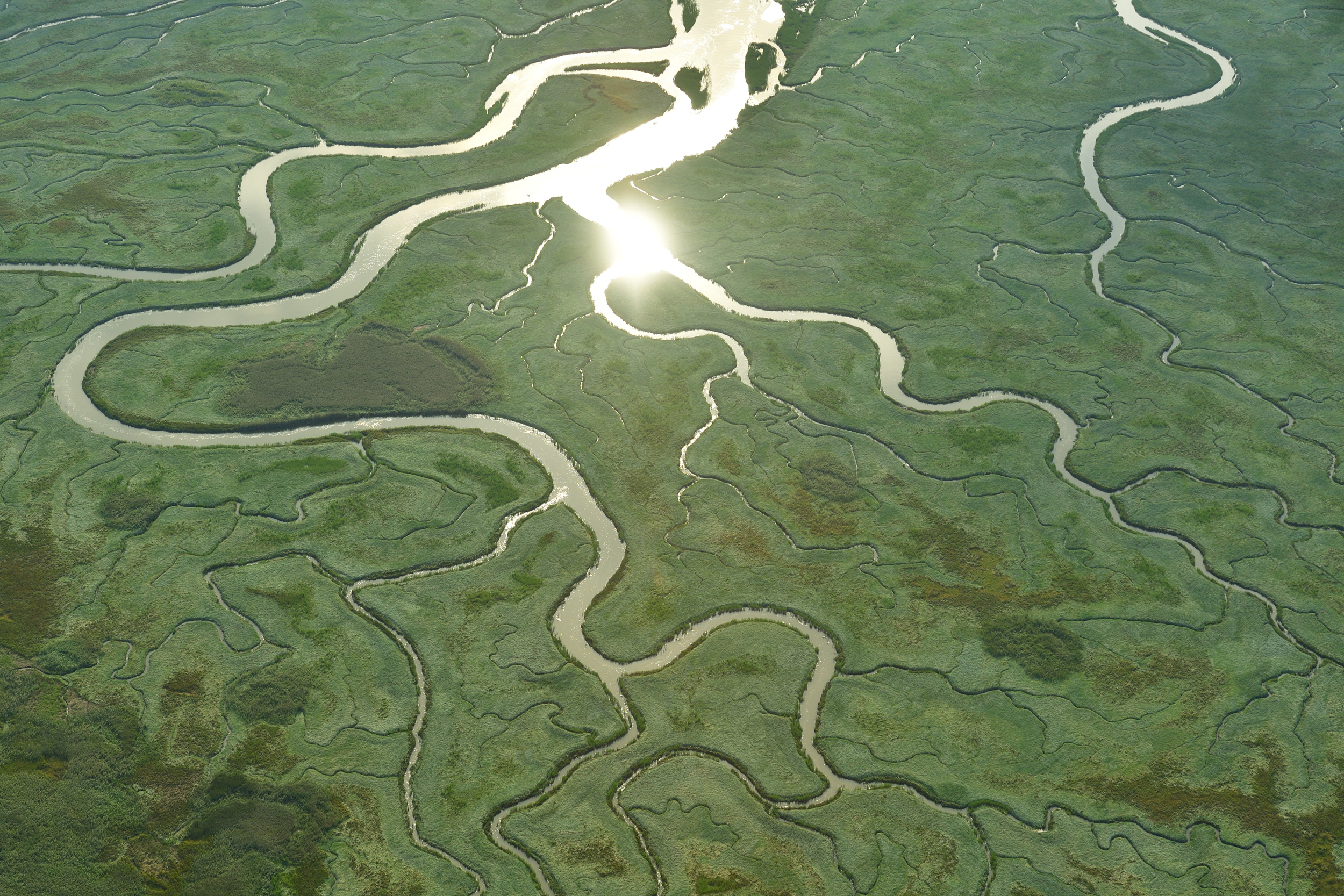 Het Verdronken Land van Saeftinge