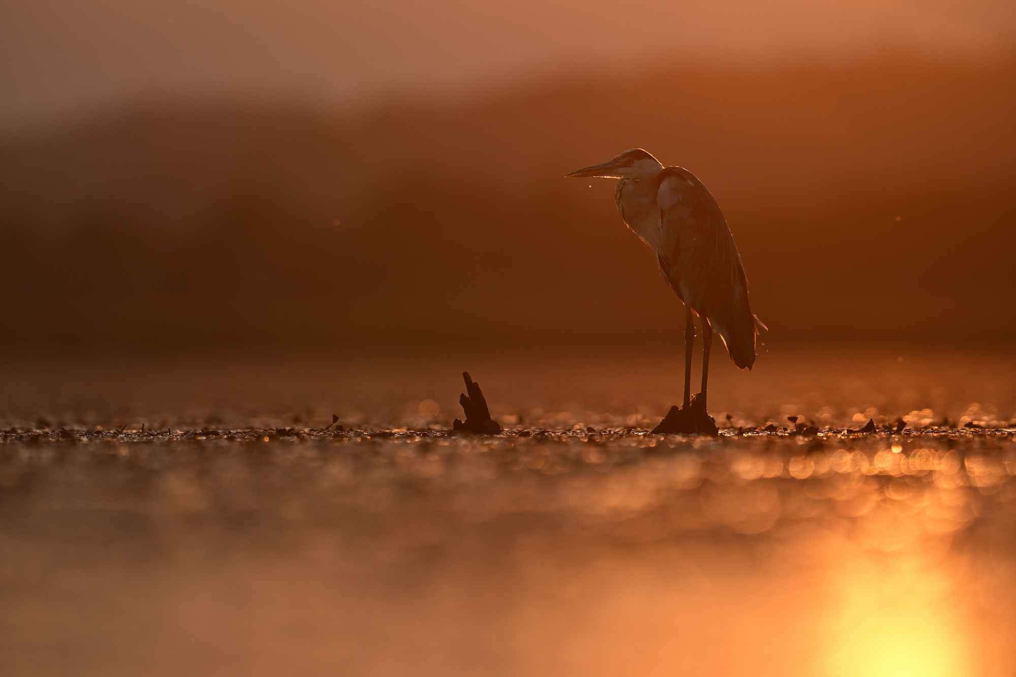 Vrijheid in een drijfhut